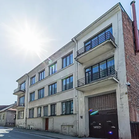 Artist With Ac Apartment Kaunas