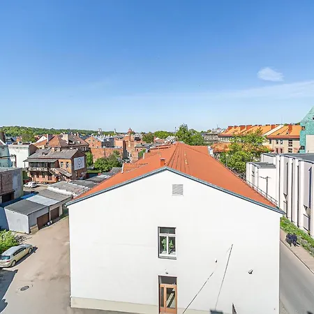 Artist With Ac Apartment Kaunas